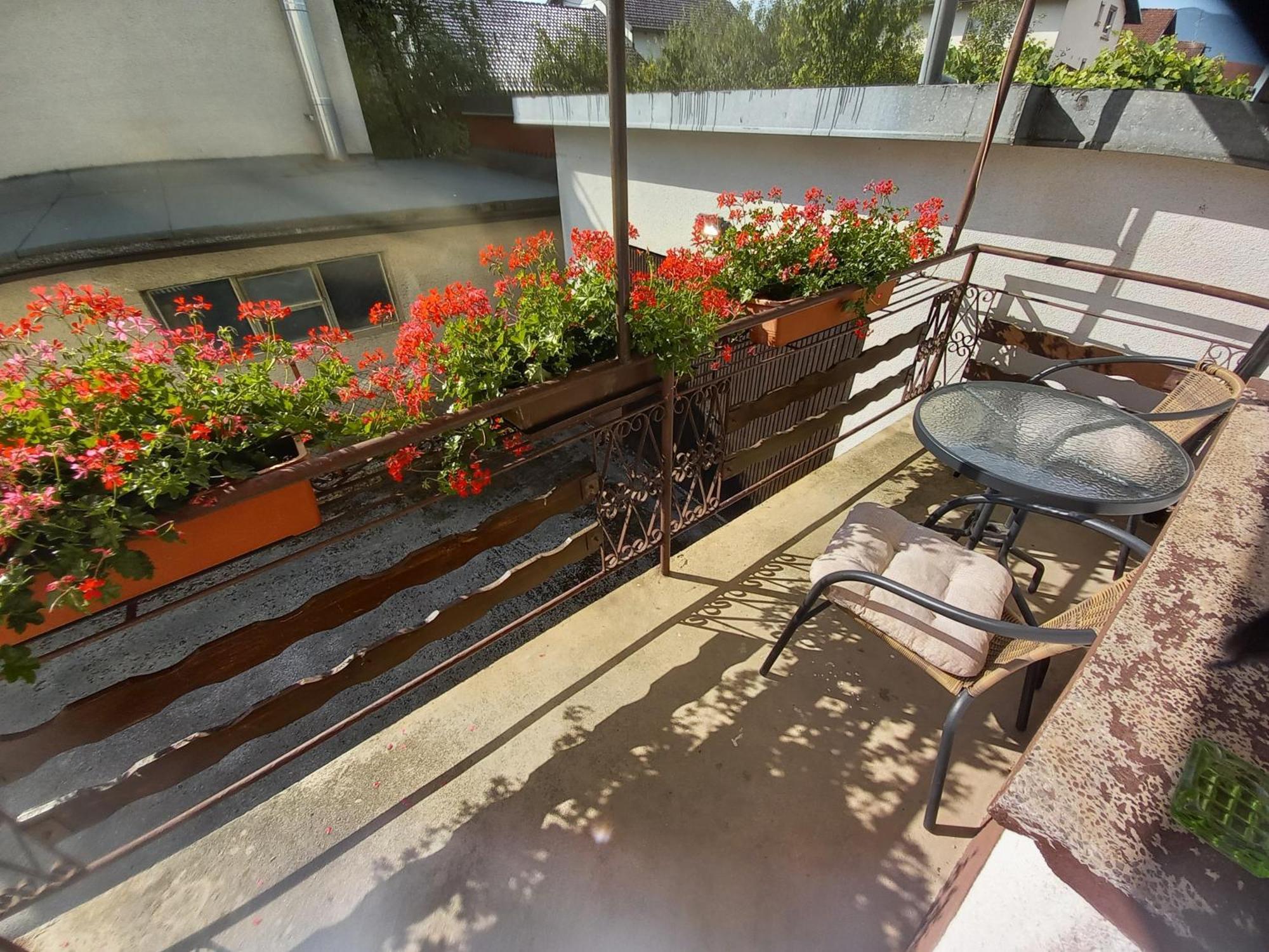 Rooms Apartma צרקניצה מראה חיצוני תמונה