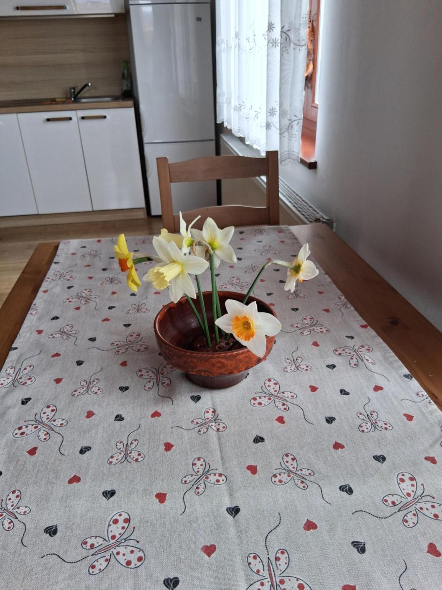 Rooms Apartma צרקניצה מראה חיצוני תמונה