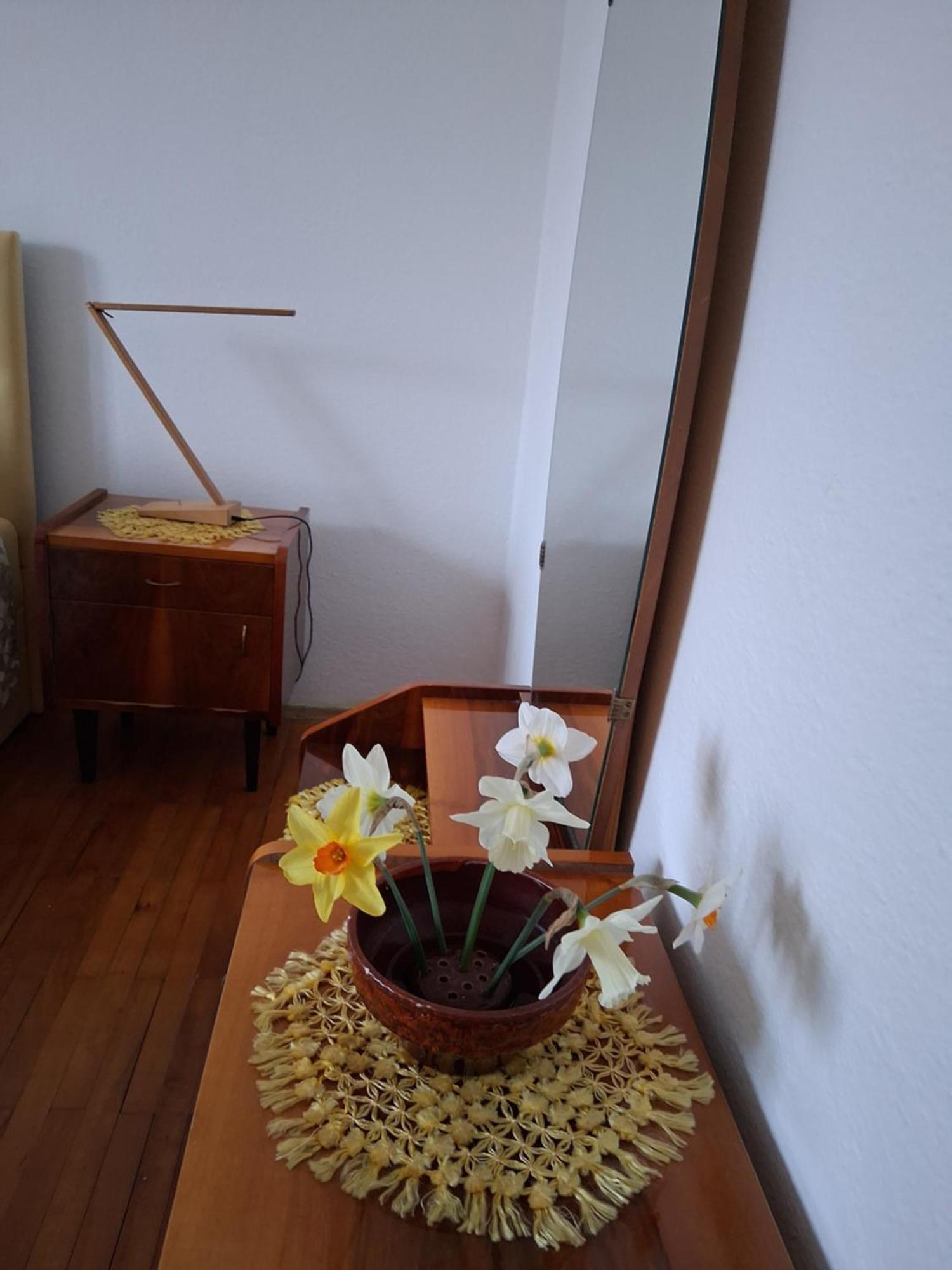 Rooms Apartma צרקניצה מראה חיצוני תמונה